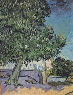 Vincent Van Gogh Chestnut Tree in Blossom (nn04) oil painting picture